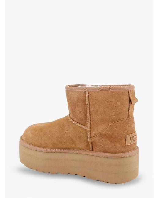 Ugg Brown "Classic Short Ii"