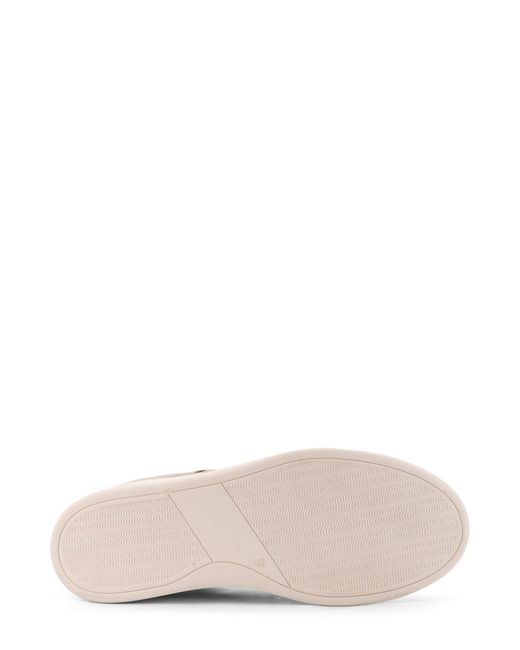 Kiton Multicolor Suede Sneakers for men
