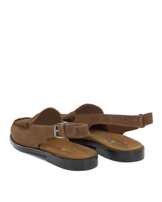 Sebago Brown "Dan" Sabot