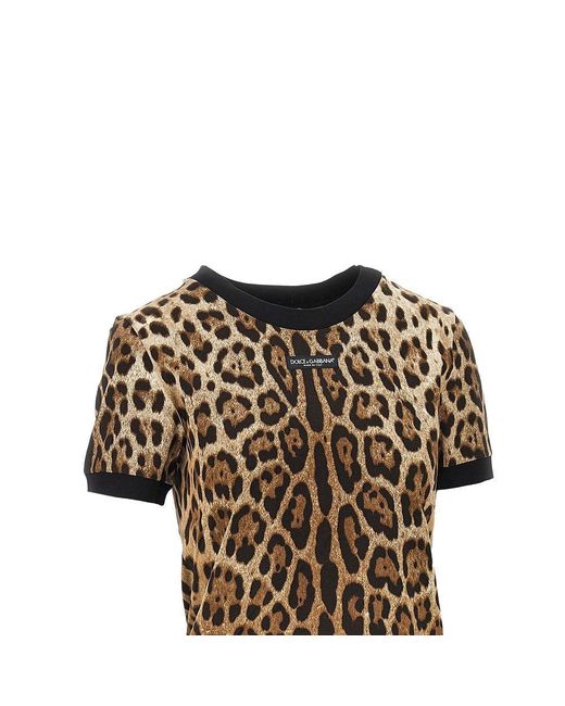 Dolce & Gabbana Brown Dolce&Gabbana Leopard-Print Jersey T-Shirt