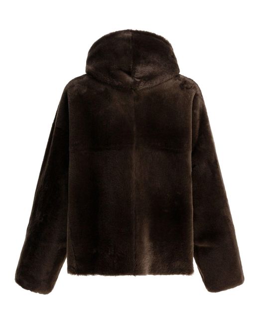 Women's Black Jackets & Coats Jackets And Coats