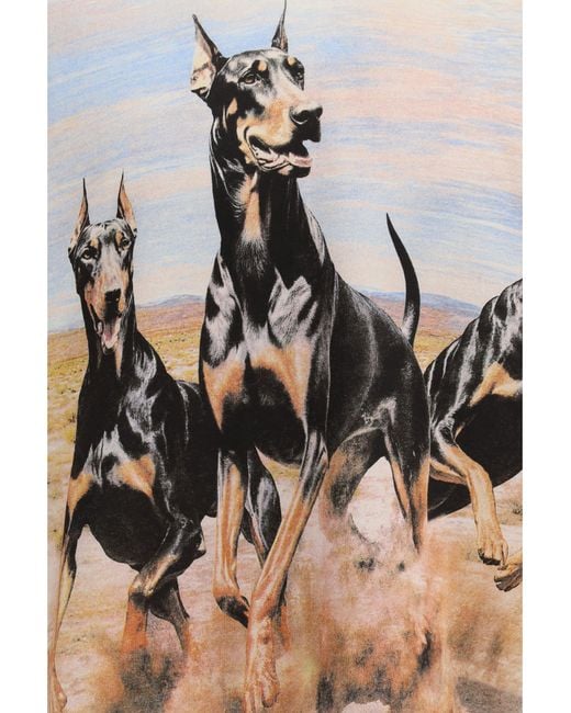 Represent White Hoodie Western Dobermans for men