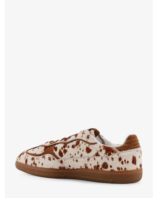 Alohas Brown Tb. 490 Ponyskin Sneakers