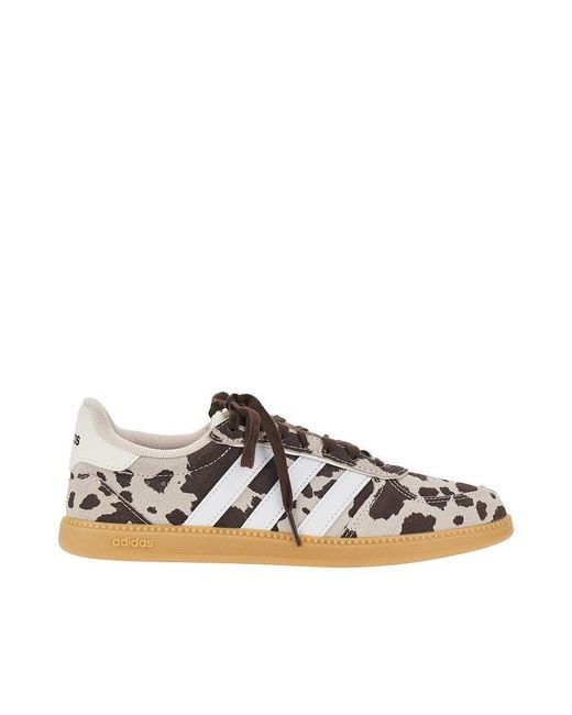 Adidas Originals Brown Breaknet Sleek Sneakers