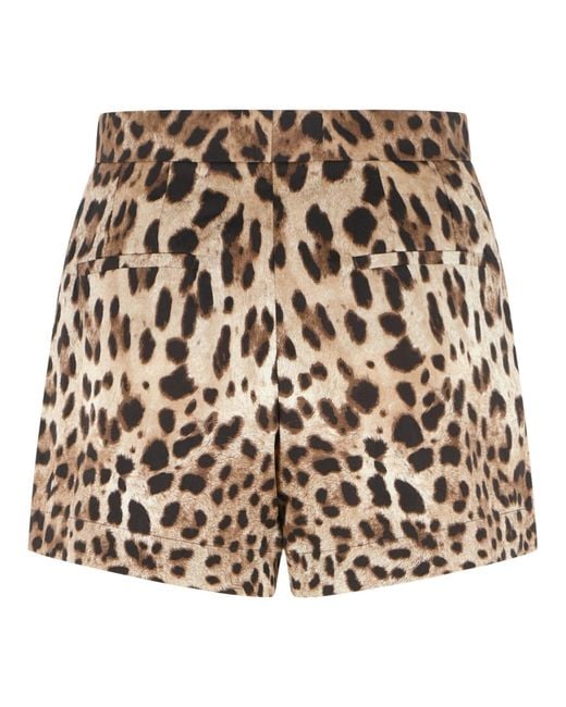 Dolce & Gabbana Brown Dolce & Gabbana Leopard Print Cotton Shorts