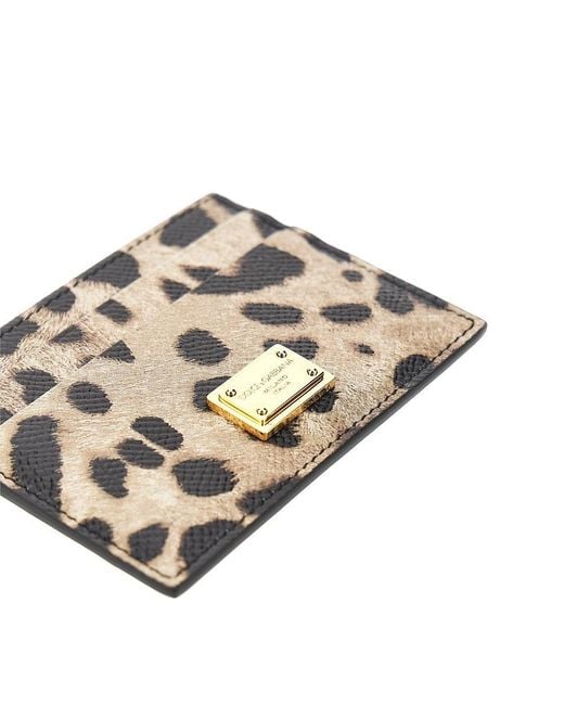 Dolce & Gabbana Multicolor Dolce&Gabbana Leopard-Print Leather Cardholder
