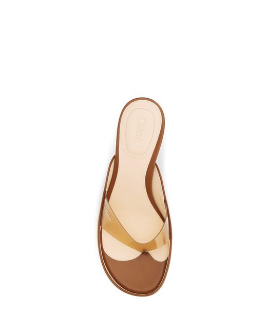 Chloé Brown Chloé Junie Sandals