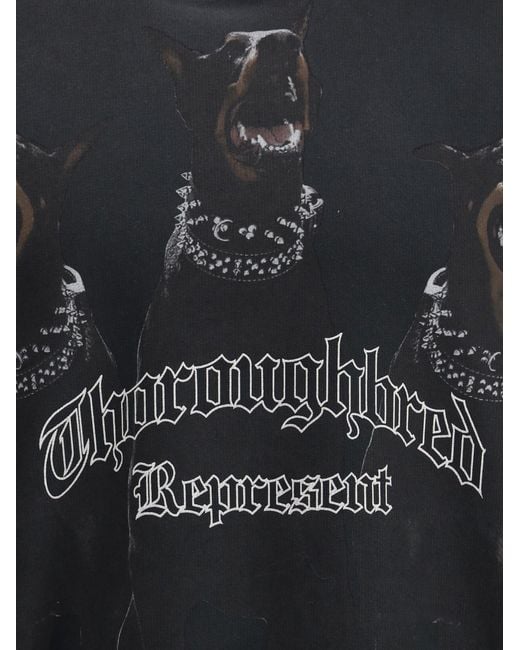 Represent Black Hoodie Thoroughbred for men