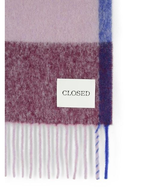 Closed Purple Alpaca Blend Scarf