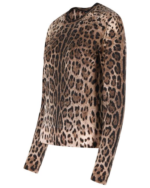Dolce & Gabbana Brown Dolce & Gabbana Leopard Print Virgin Wool Sweater