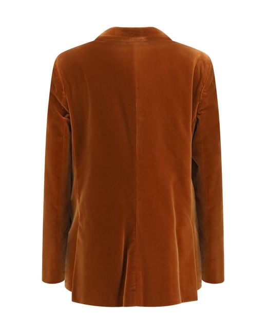 Blazé Milano Brown Blazè Milano Jealousy Everynight Velvet Blazer