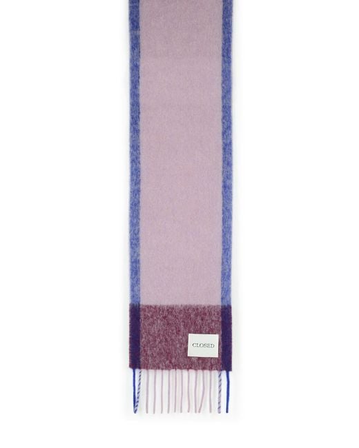 Closed Purple Alpaca Blend Scarf