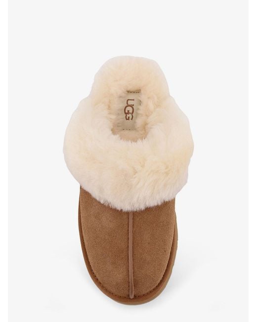 Ugg Brown W Disquette