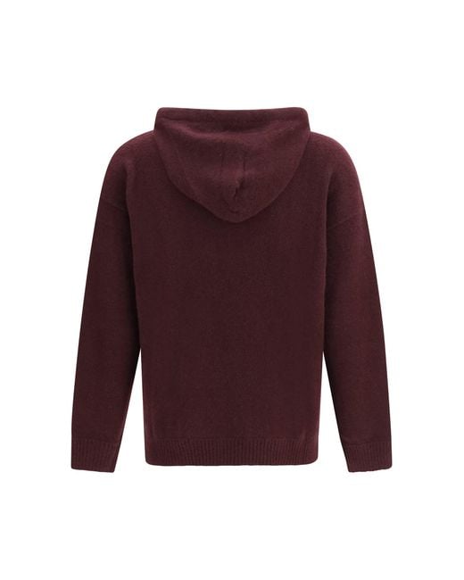 Laneus Purple Cashmere And Silk Hooded Sweater Fico for men