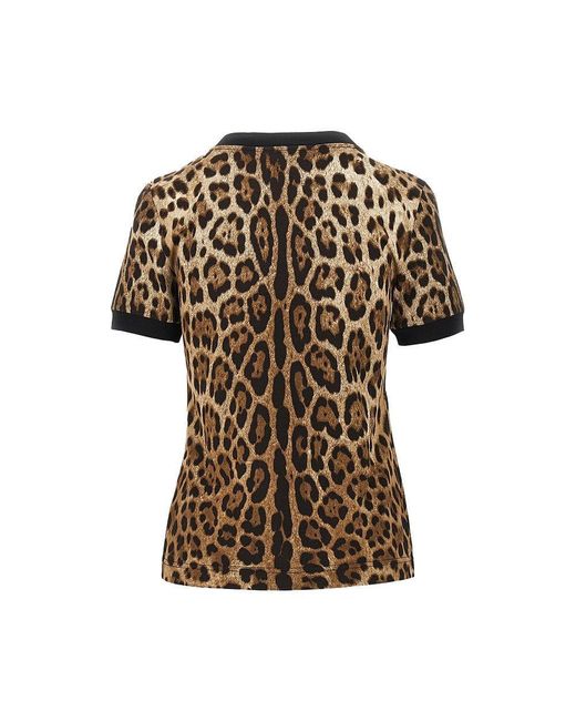 Dolce & Gabbana Brown Dolce&Gabbana Leopard-Print Jersey T-Shirt