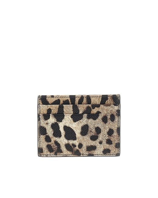 Dolce & Gabbana Multicolor Dolce&Gabbana Leopard-Print Leather Cardholder