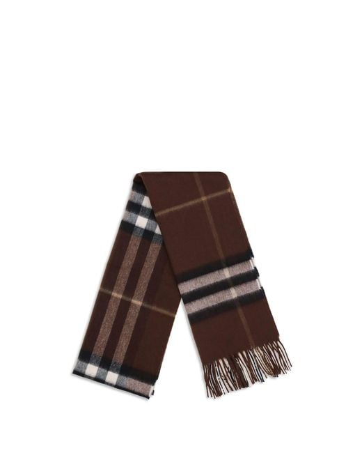 Burberry Brown Scarves