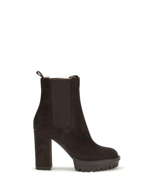 Gianvito Rossi Black Barry Suede Ankle Boots