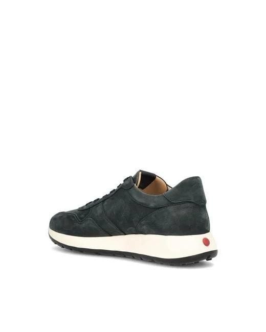 Tod's Green Dot" Suede Sneakers for men