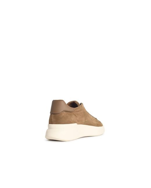 Hogan Brown H580 Suede Sneakers for men