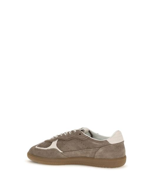 Alohas Gray Tb.490 Rife Suede Sneakers Taupe