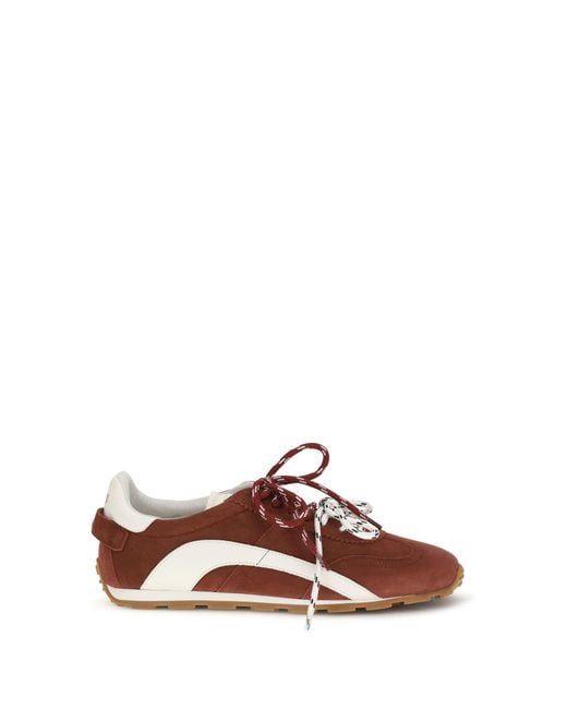 DSquared² Brown Suede Sneakers for men