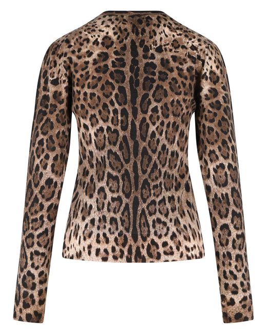 Dolce & Gabbana Brown Dolce & Gabbana Leopard Print Virgin Wool Sweater