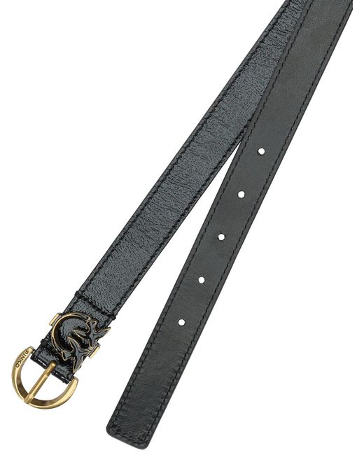 Pinko Multicolor Belts