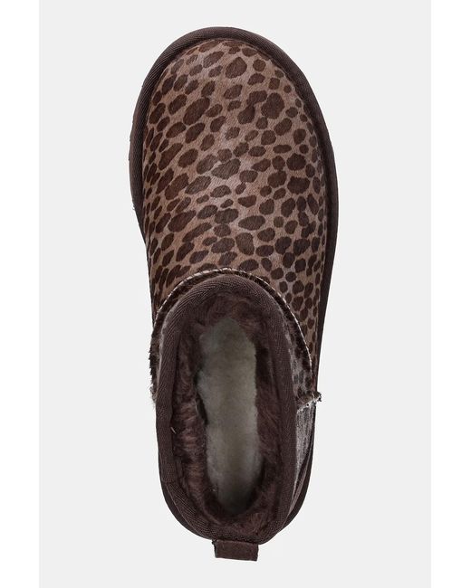 Ugg Brown "Ultra Classic Mini Caspian" Ankle Boots