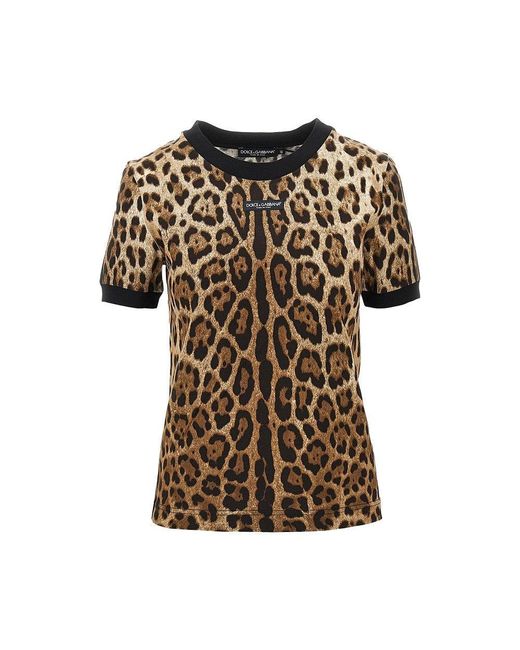 Dolce & Gabbana Brown Dolce&Gabbana Leopard-Print Jersey T-Shirt