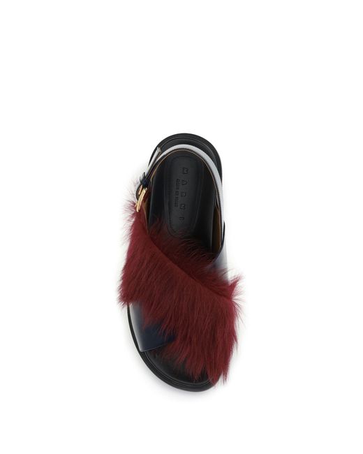 Marni Brown Sandals