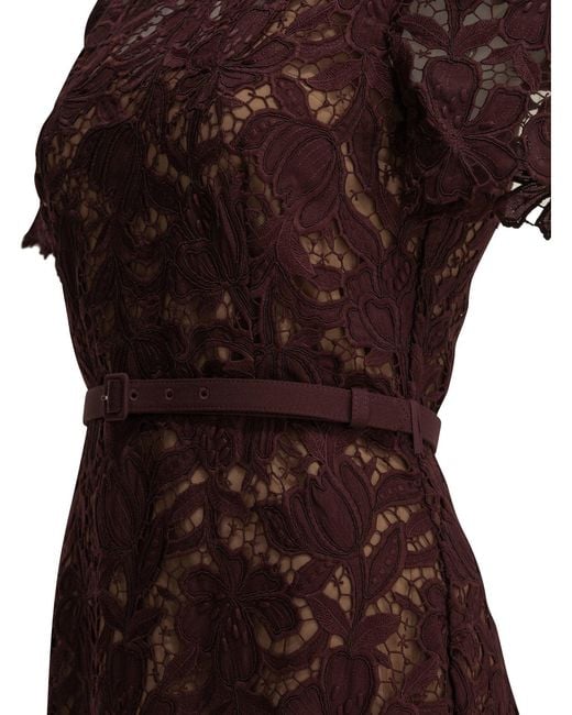 Self-Portrait Brown Lace Midi Dress
