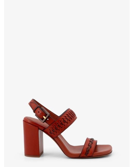 Zimmermann Red Leather Sandals Alchemy 85