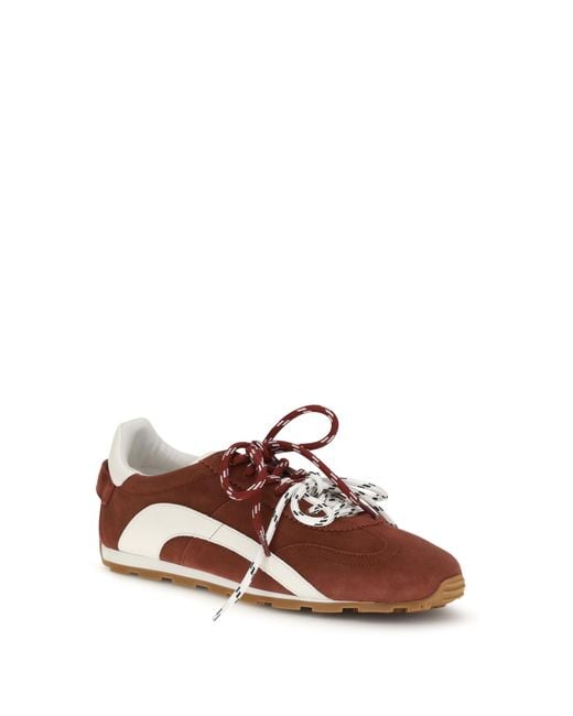 DSquared² Brown Suede Sneakers for men
