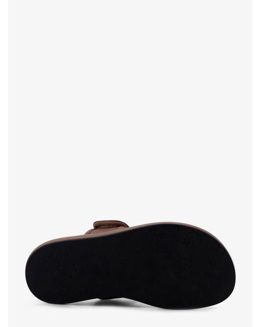 Pinko Brown Fiona Flat Leather Sandals
