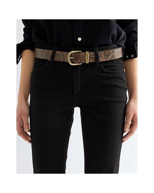 Wrangler Black Snake Leather Belt for men