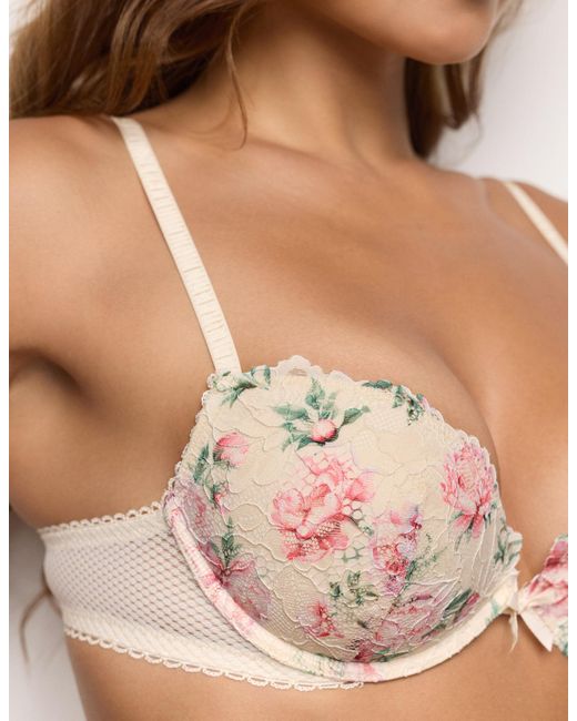Push up soft con ferretto in pizzo Eloise di Yamamay in Brown