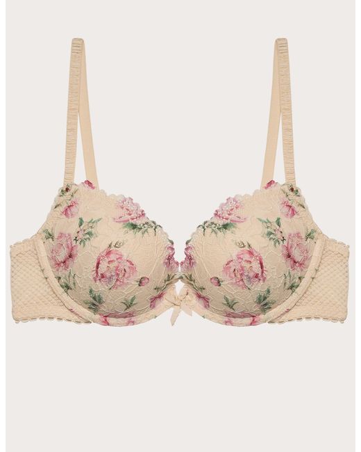 Push up soft con ferretto in pizzo Eloise di Yamamay in Brown