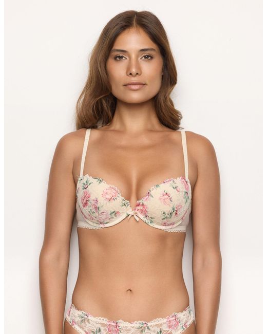Push up soft con ferretto in pizzo Eloise di Yamamay in Brown