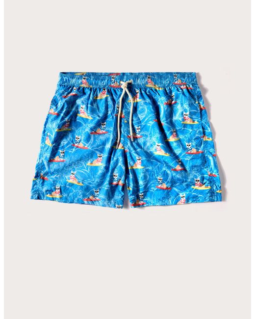 Costume boxer da uomo con cani sul surf Funny I di Yamamay in Blue da Uomo