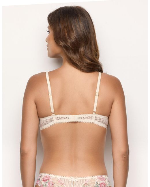 Push up soft con ferretto in pizzo Eloise di Yamamay in Brown
