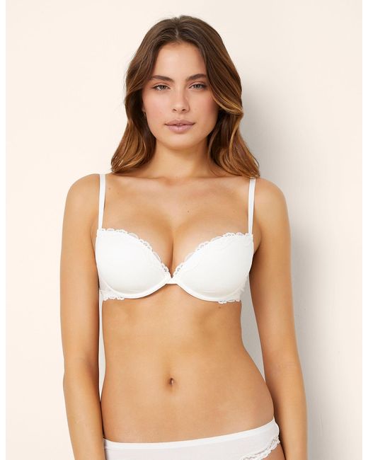 Push up con pesciolino interno in TM Modal e Seta con ferretto di Yamamay in Multicolor
