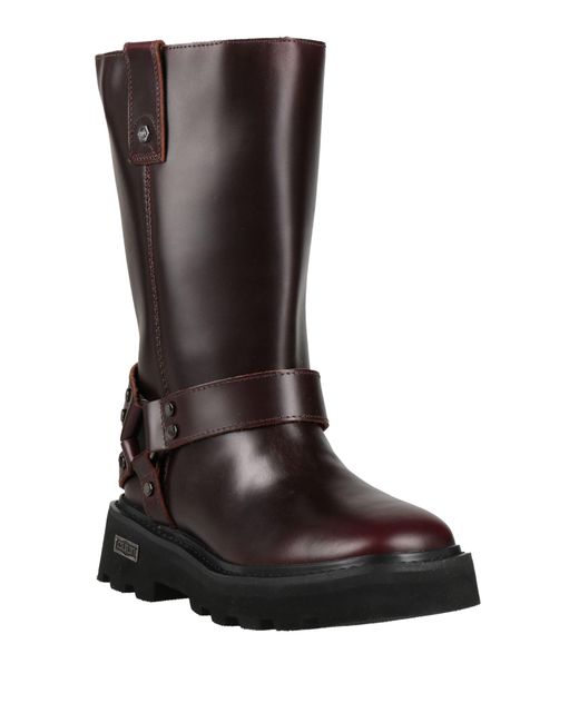 Cult Brown Boot
