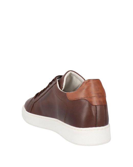 CafeNoir Brown Trainers for men