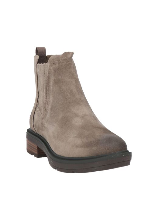 Bottines Timberland en coloris Brown