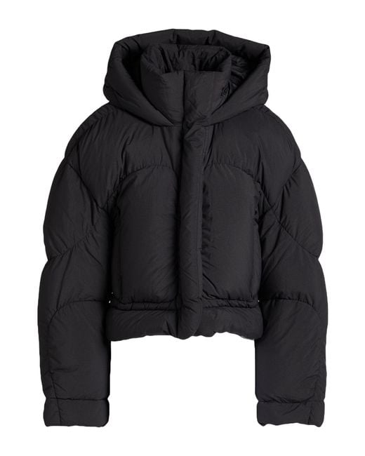 Acne Black Puffer