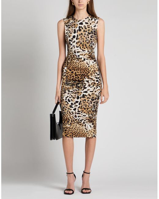 Roberto Cavalli White Midi-Kleid