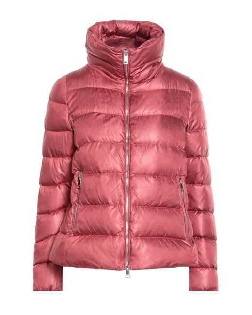 Jan Mayen Red Puffer