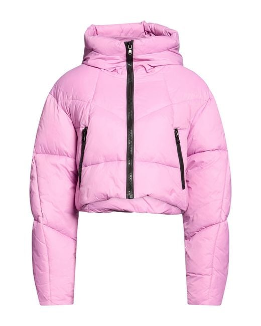 Canadian Pink Puffer