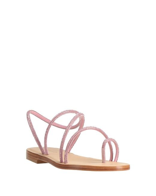 DG POSITANO Pink Thong Sandal